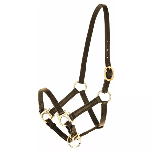 Foal leather halter Foal leather halter