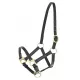 Licol en cuir poulain