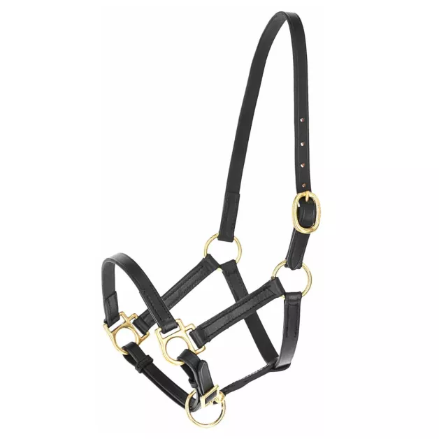 Licol en cuir poulain