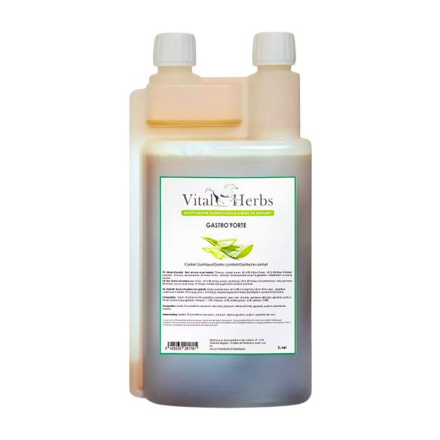 Vital Herbs, gastro
