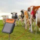 Électrificateurs solaires Gallagher