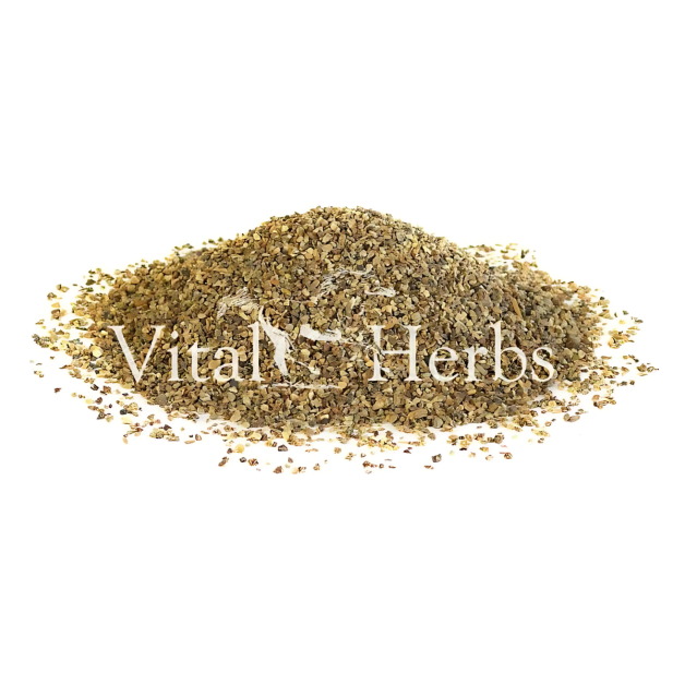 Vital Herbs: Devil's Claw