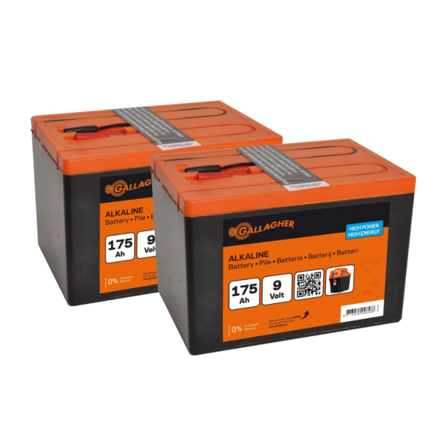 Batterij voor Elektroshockapparaat