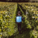 Battery-powered backpack sprayer 15 L