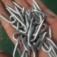 Galvanized U nail