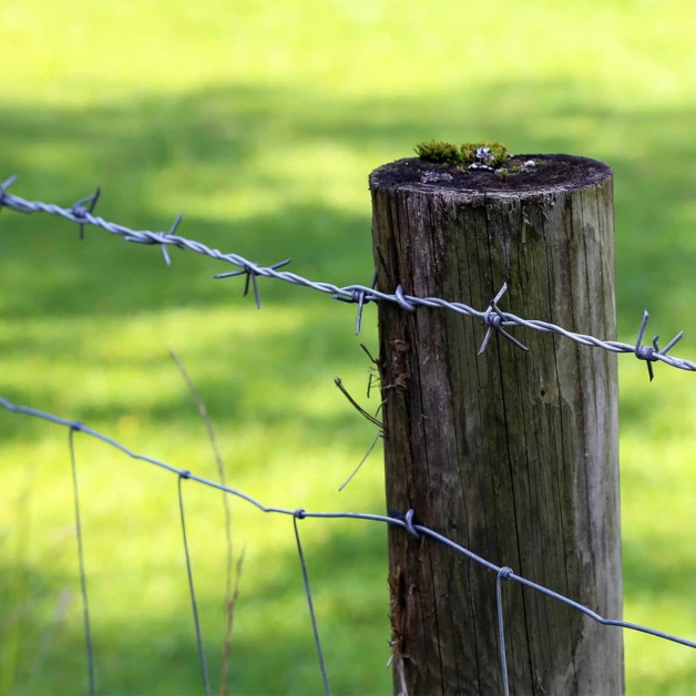 Clou en U galvanisé