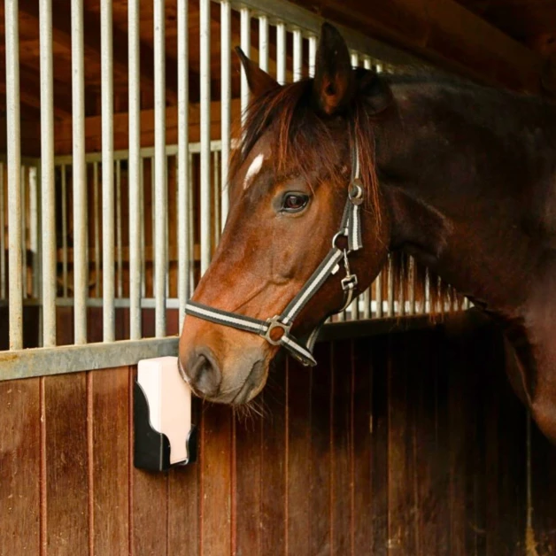 Support pour minéraux Support pour minéraux