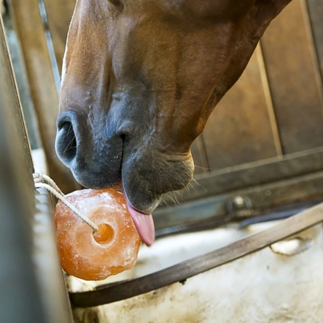 Himalaya liksteen 2,5 kg