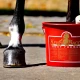 Kevin Bacon's Hoof Formula 5 kg
