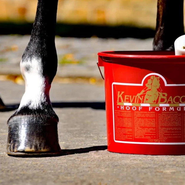 Kevin Bacon's Hoof Formula 5 kg
