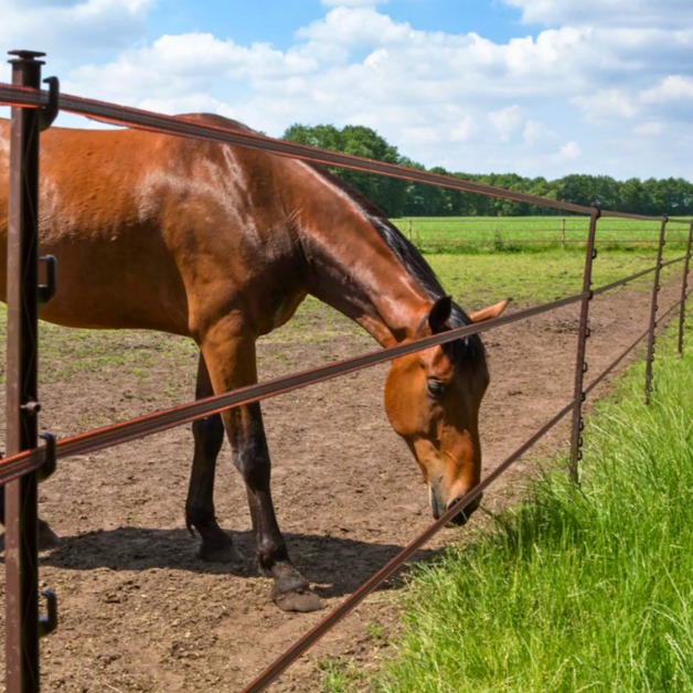 Duo Pack Piquets Gallagher -25%