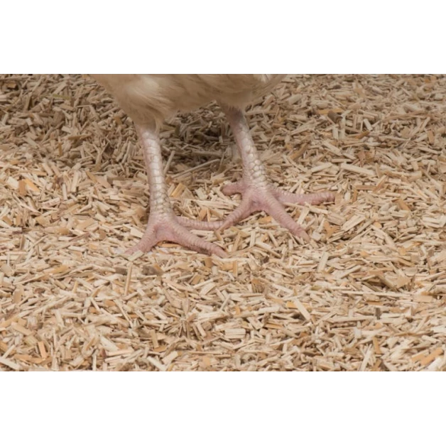 Miscanthus bedding with tobacco