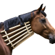 Eglisse - neck brace for a horse