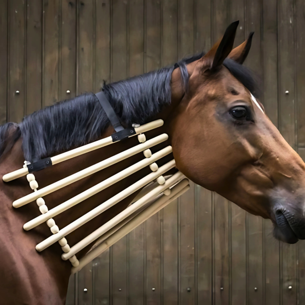 Eglisse - neck brace for a horse