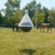 Horsefly Trap TaonX