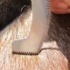 Fly egg knife