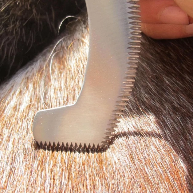 Couteau à œufs de mouches