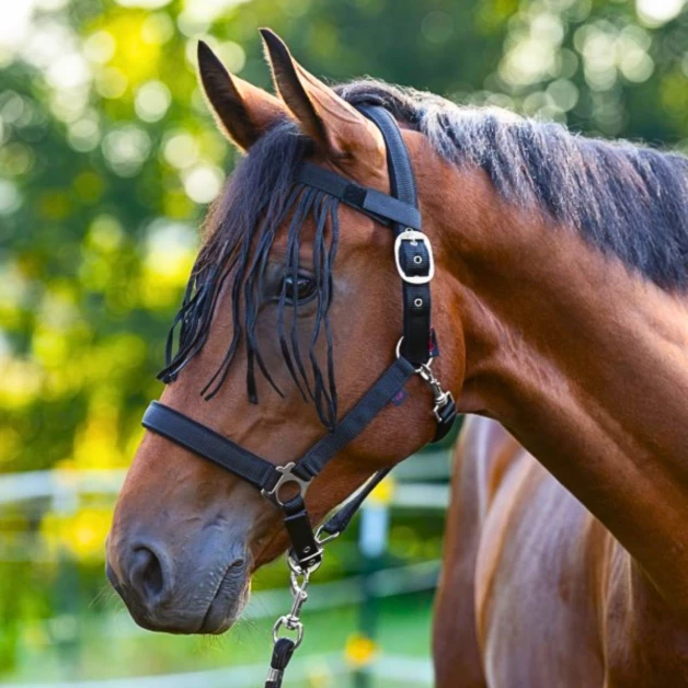 Anti-Fly Fringe for Halter