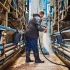 Hoe verbeteren waterdichte werkkleding het dagelijks leven van veehouders bij het schoonmaken van landbouwgebouwen?