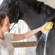 Multipurpose foam sponge