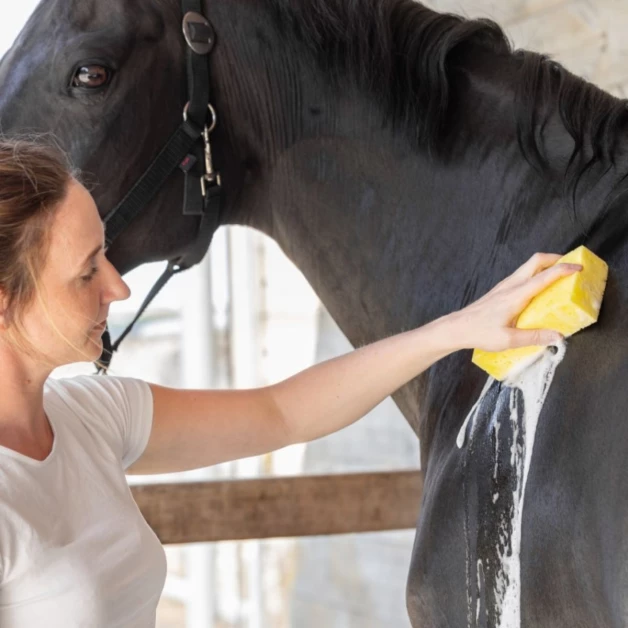 Multipurpose foam sponge