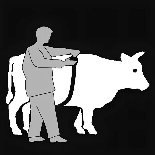 Toise en gewichtsmaat Toise en gewichtsmaat