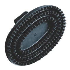 Étrille ovale noire Étrille ovale noire