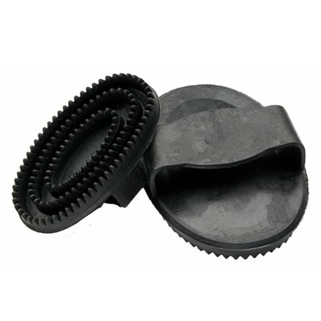 Black oval mitten crab Black oval mitten crab