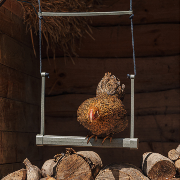 Balançoire en bois pour poule