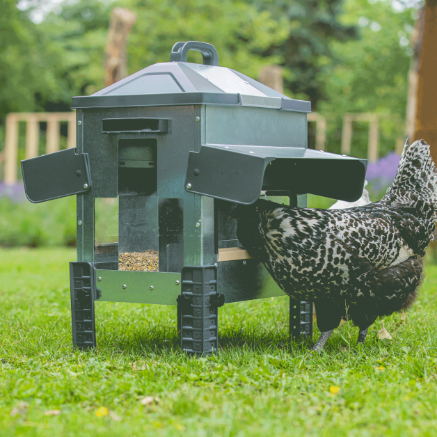 Nourrisseur métalliques ROBUST