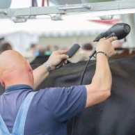 Bereid uw runderen voor op wedstrijden met geschikte verzorging en accessoires. Bereid uw runderen voor op wedstrijden met geschikte verzorging en accessoires.