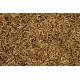 Aliment complémentaire à base de larves séchées Cripsy Worms