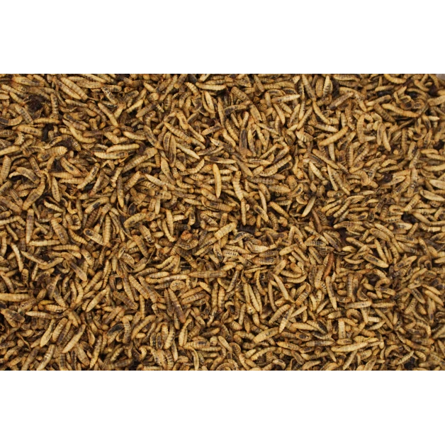 Aanvullend voer op basis van gedroogde larven Cripsy Worms Aanvullend voer op basis van gedroogde larven Cripsy Worms