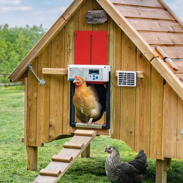 Portier automatique ChickenGuard All-in-One