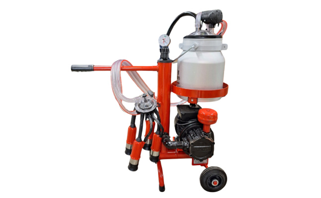 Milking machine for cattle, sheep, goats: information and benefits