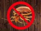 Anti-red lice