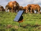 Électrificateurs