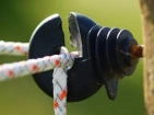 Cords