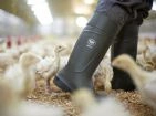 Bottes Bekina