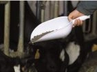 Grain shovels