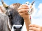 Dierenartsbenodigdheden