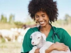 Veterinary equipment