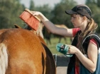 Ontwarrende middelen en borstels