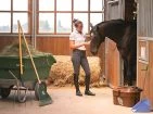 Stables