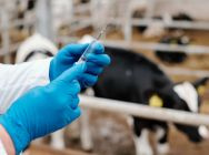 Disposable protections