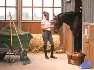 Stables