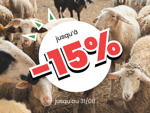 Profitez de 10% sur TOUT le site et jusqu'à -15% dès 500€ d'achats
