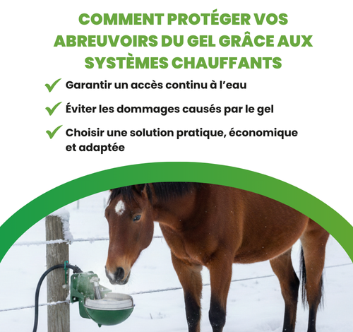 Prairie avec cheval près d'un abreuvoir chauffant