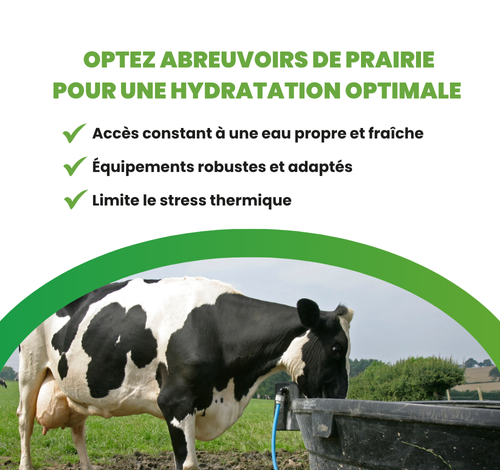 Optez pour abreuvoir de prairie pour vos animaux