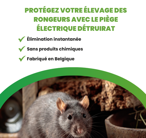 Piège à rats